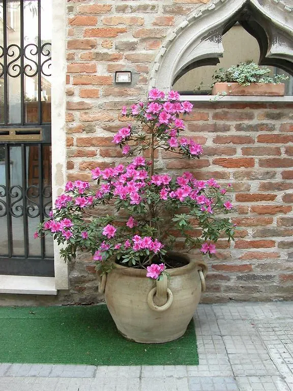 Al Campanile Madonna Dell'Orto Apartment Venice